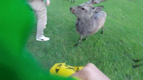 Jinny gets her backpack yoinked