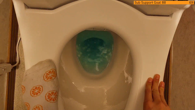 Meowko shows us how a Japanese toilet works!