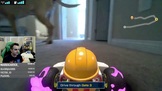 Professional Mario Kart Player has a minor pet problem.
