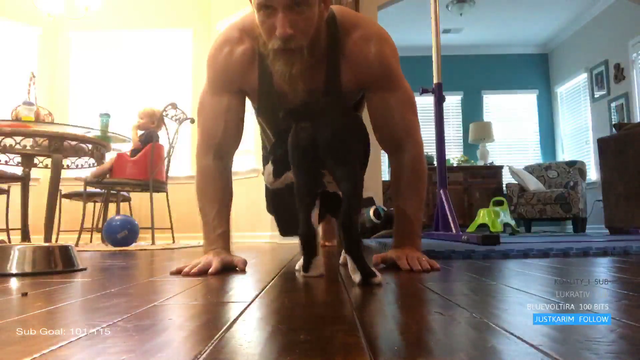 Dog attacks owner while doing pushups