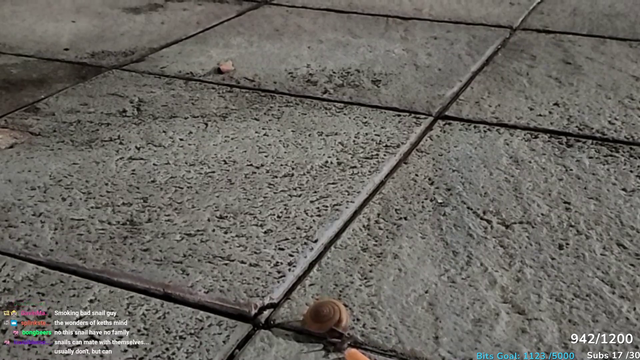 Streamer saves a snail from a life of crime