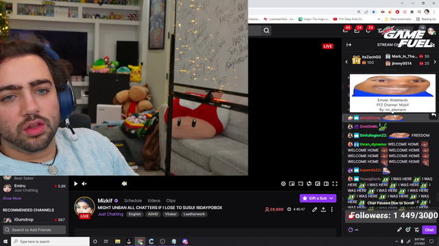 Mizkif unbanning everyone surely cant go wrong ....