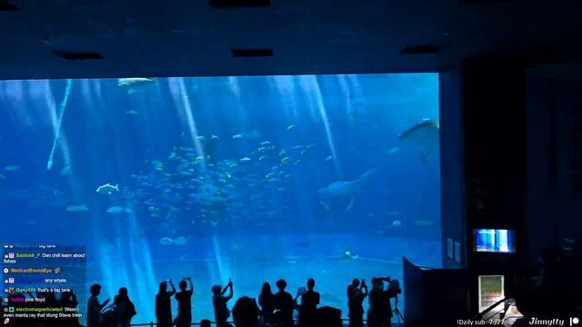 Massive fish tank