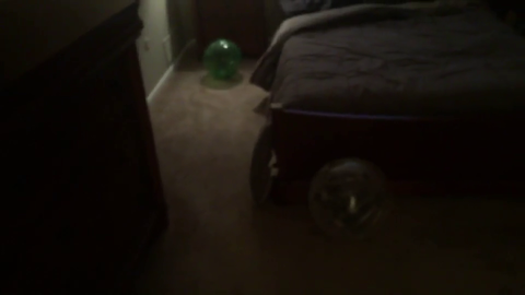 Chinchilla inadvertently breaks glass by hitting a bed hard while in a walk-around-ball.