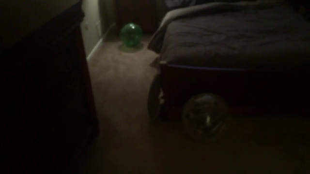 Chinchilla inadvertently breaks glass by hitting a bed hard while in a walk-around-ball.