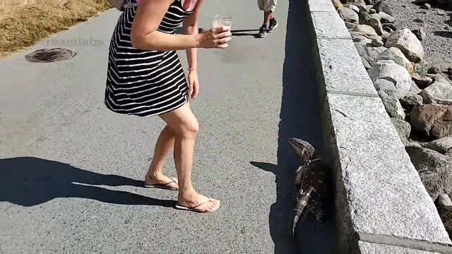 Drake the Komodo Dragon spanks a blonde