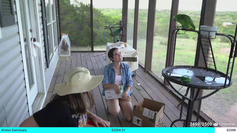 Maya makes parrot say OMG and then they both make each other laugh
