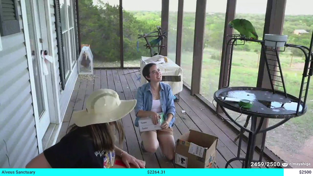 Maya makes parrot say OMG and then they both make each other laugh