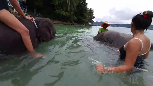 Elephant farts in streamers face