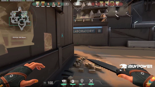 Seagull Absolutely Popping off