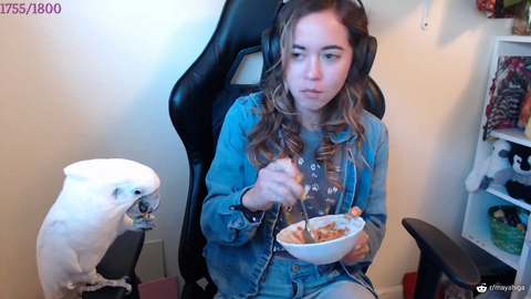 Maya + cockatoo eating a bowl of pasta