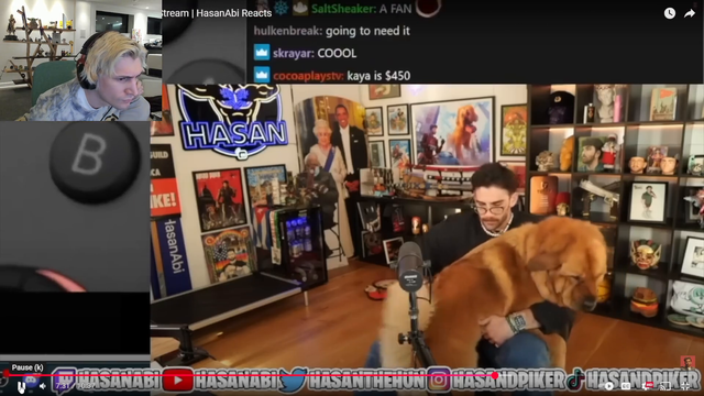 Clear view of Hasan's dog collar