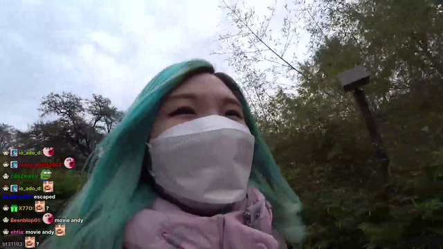 Hachu finally finds the elephant