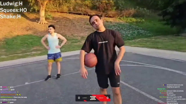 Ludwig and Squeex are very good at basketball