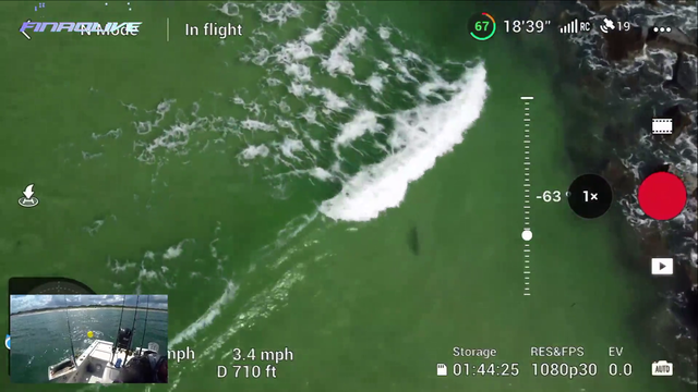 Drone View - Shark gets a close sniff of fisherman