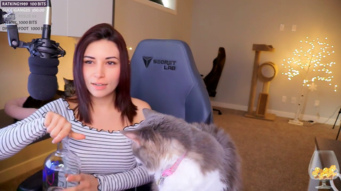 Alinity have also fed alcohol to her cats live on stream
