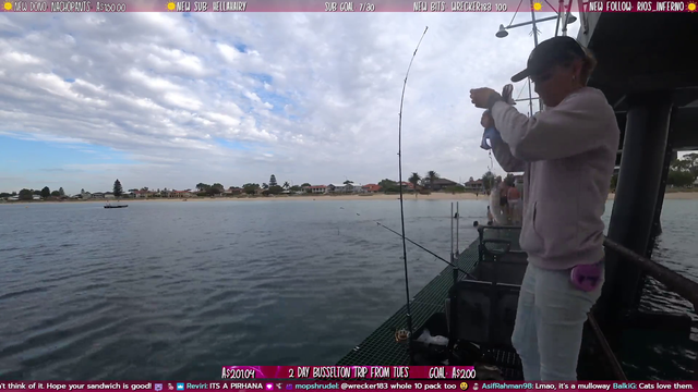 flying fish