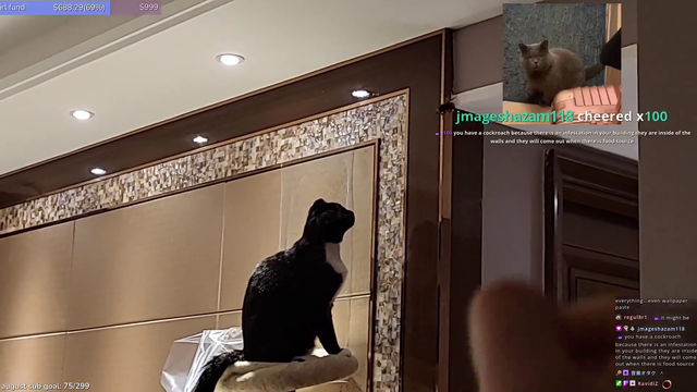 gigacat saves his soy owner