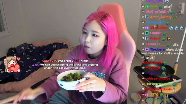 Hachu has a new diet