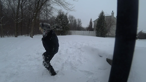 xQc gets murdered by his dog