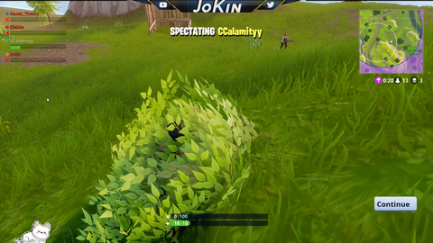 Bushes OP