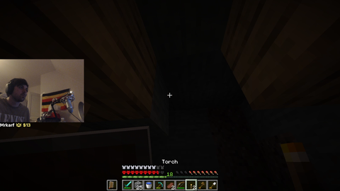 Literally 2 minutes into Minecraft PepeLaugh