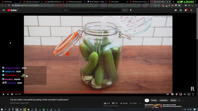 pokelawls - Poke makes a life changing discovery