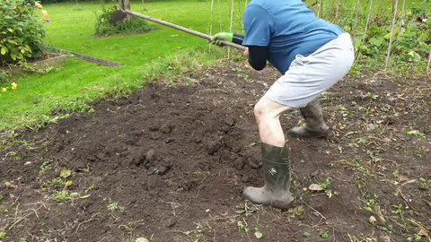 Camgirl farming