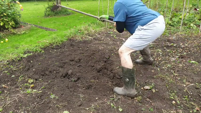 Camgirl farming