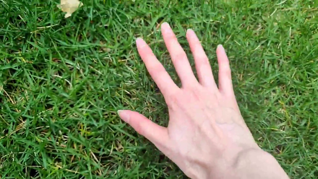YOU HAVE NO CONTENT WITHOUT HASAN, GO TOUCH GRASS