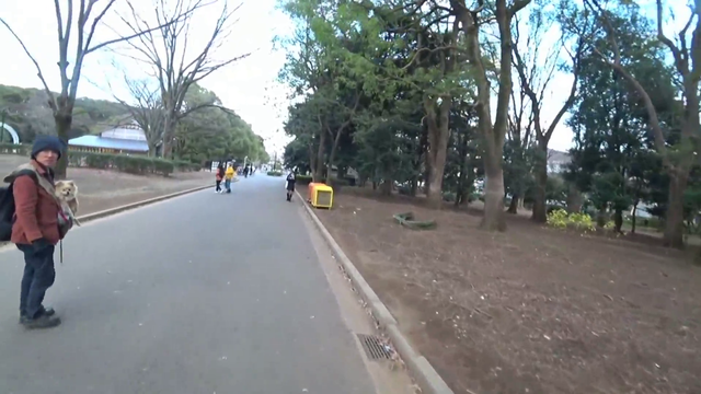 Twitch drunk making friends in Tokyo PepeLaugh