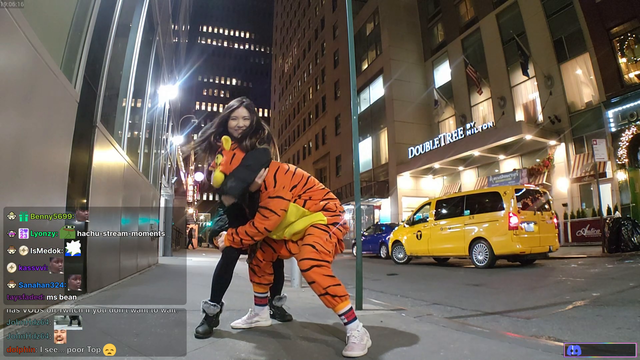 Hachu wrestles a tiger
