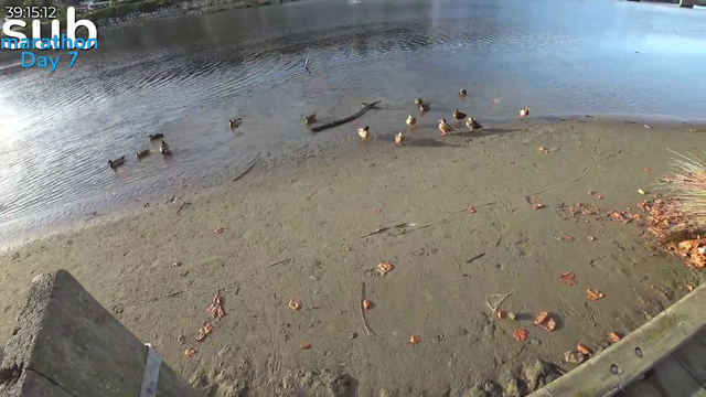 Ducktamer69