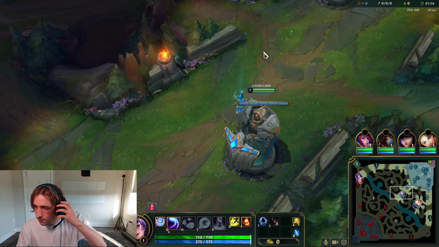 QT and Porter do dog and crying baby sounds