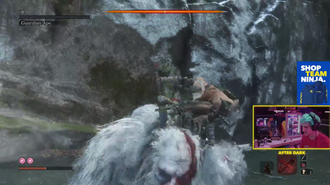 Ninja Spends 30 Minutes on a certain Sekiro boss not knowing very important info...