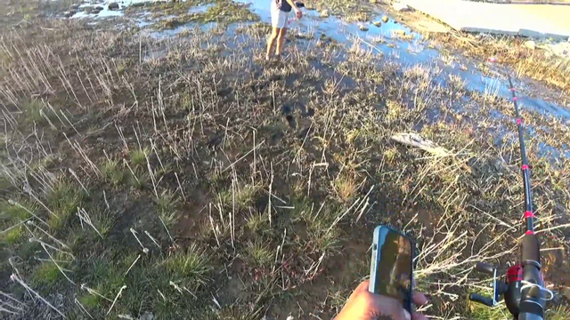 Erobb baited easier than their fishing hooks.