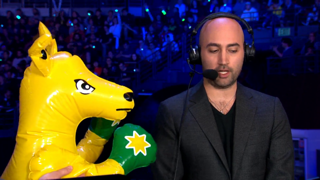 Kangaroo beats up commentator on live stream