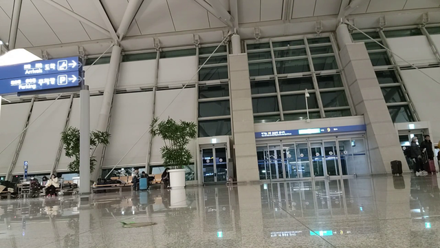 grown woman in an airport