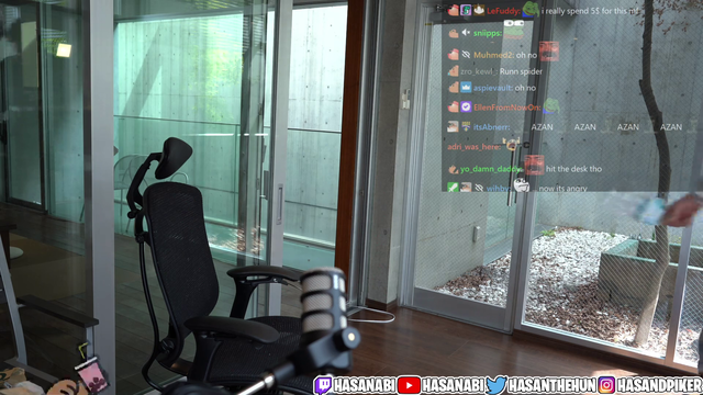 HasanAbi - Hasan battles a tiny spider