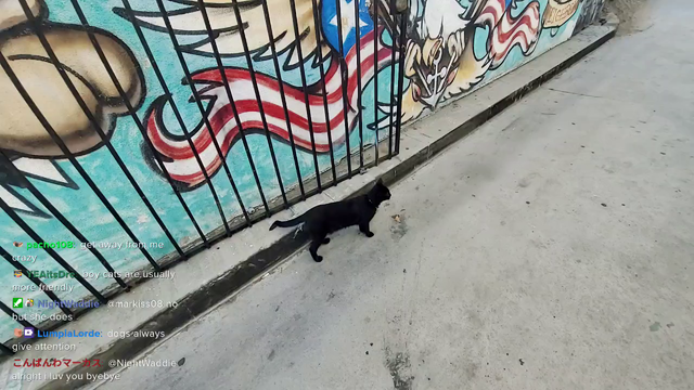 too easy for cat