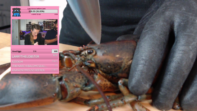 MrsRuvi tries to kill a lobster