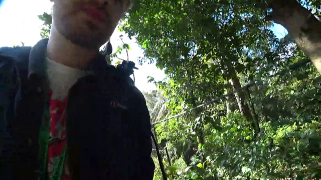 Two aussies and a brit feeding the deadliest bird grapes