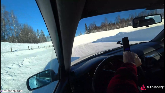 Knut goes ice drifting and breaks friends car