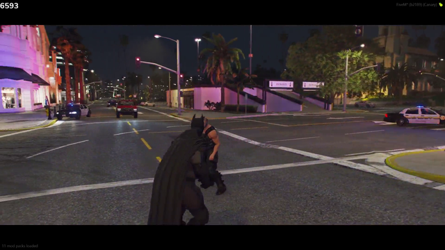 Batman VS Bane showdown