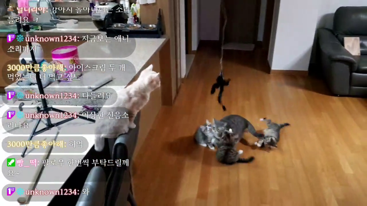mother teaches childrens how to catch