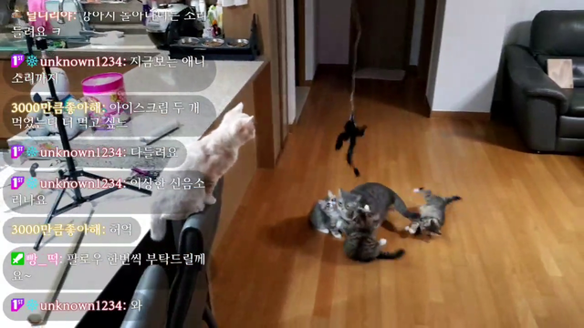 mother teaches childrens how to catch