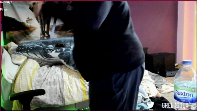 2 whales mating <3