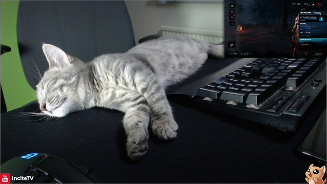 Stretch and roll