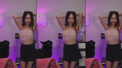 cat doesn't like the dance