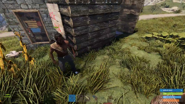 Police officer plays rust